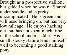 Brought as a prospective stallion,