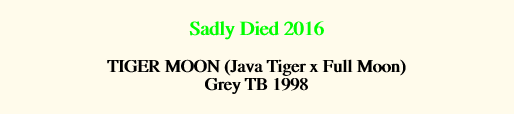 item3