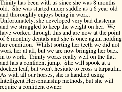 Trinity has been with us